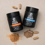 Apexstallion (AM/PM)