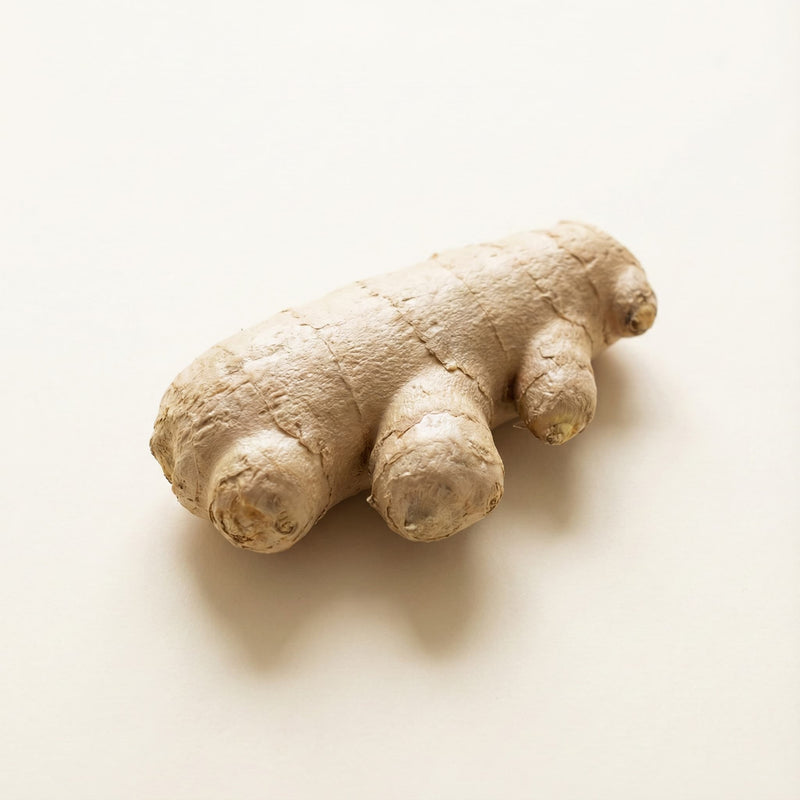 Ginger Root Extract