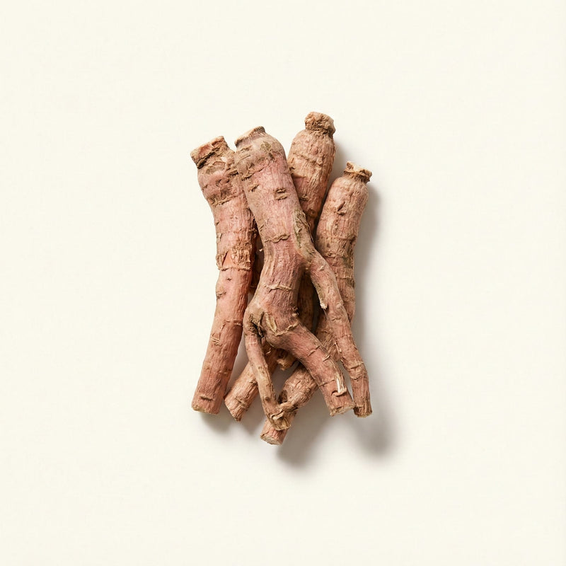 Rhodiola Rosea (3% Rosavins)