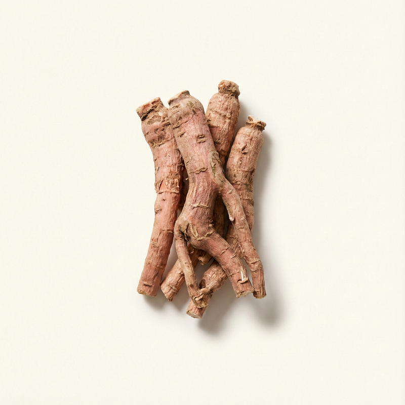 Rhodiola Rosea (3% Rosavins)